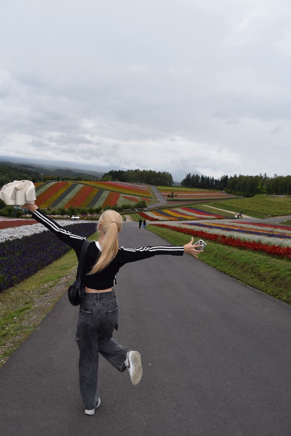 四季彩の丘の色とりどりの花畑